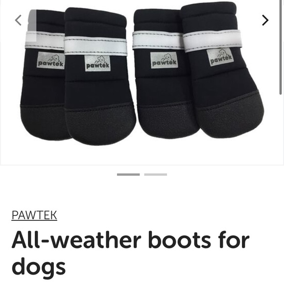 Doggie boots - Picture 1 of 6